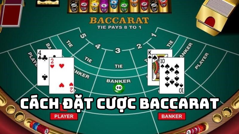 Cách đặt cược Baccarat